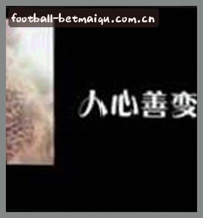 刘总