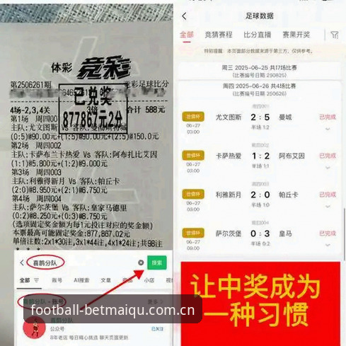 世界杯投注平台攻略 世界杯买球APP官方版 vs 第三方渠道:2026投注平台选择攻略深度对比